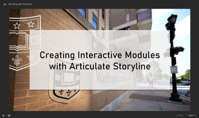 Storyline Interactive Module