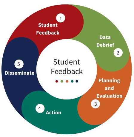 Circular graph depicting the student feedback loop: 1. Student feedback 2. Data debrief 3. Planning and evaluation 4. Action 5. Disseminate